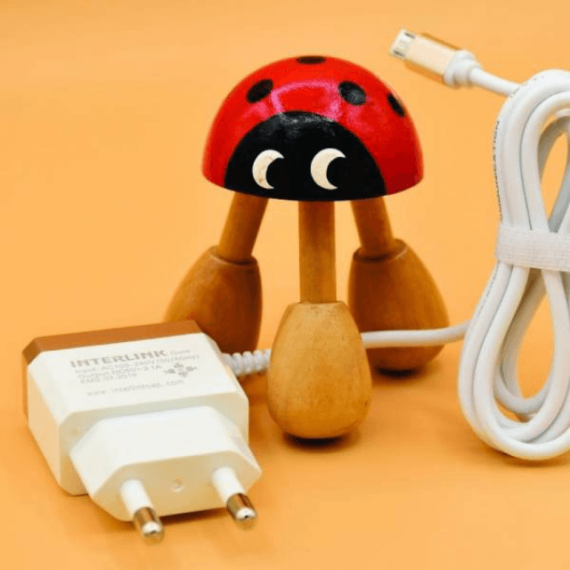 Gold Charger 2.1A